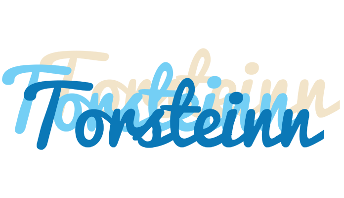 Torsteinn breeze logo