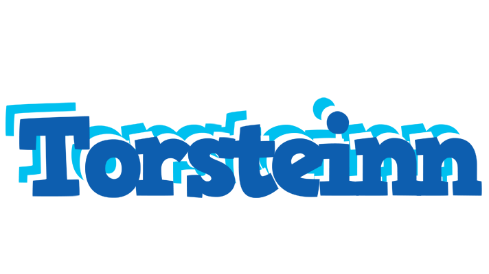 Torsteinn business logo