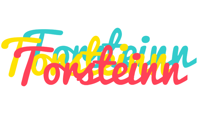 Torsteinn disco logo