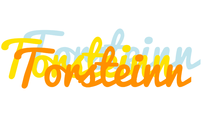 Torsteinn energy logo
