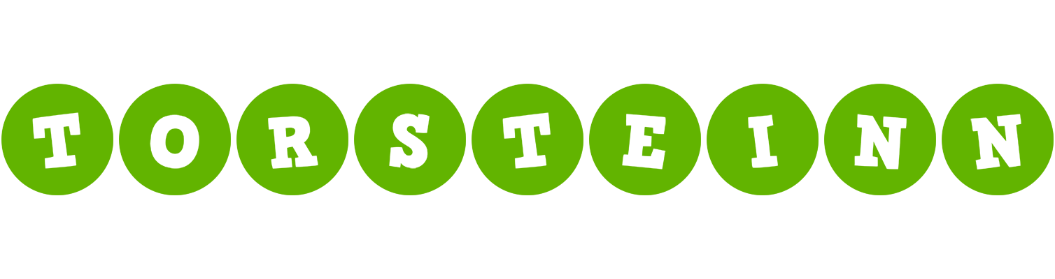 Torsteinn games logo
