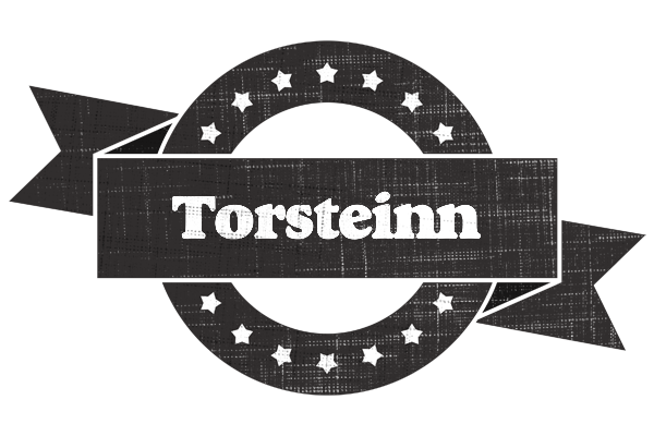 Torsteinn grunge logo