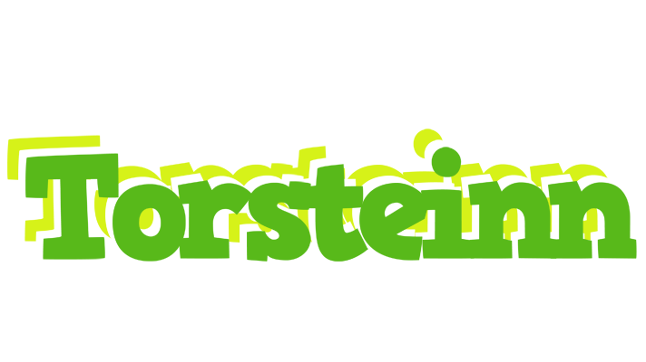 Torsteinn picnic logo
