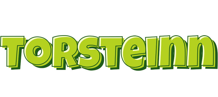 Torsteinn summer logo