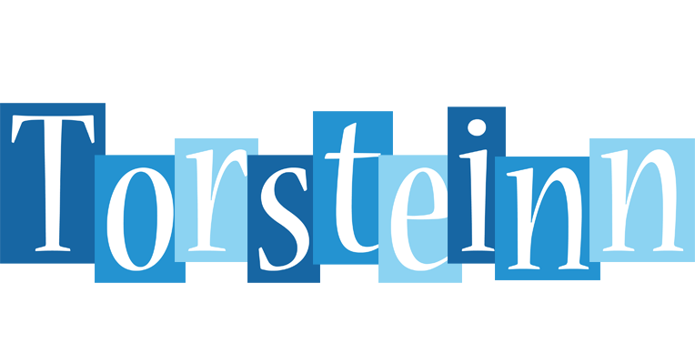 Torsteinn winter logo