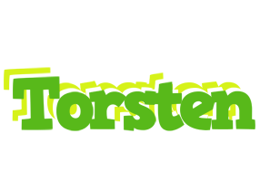 Torsten picnic logo