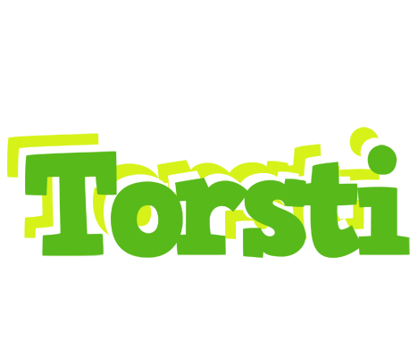 Torsti picnic logo
