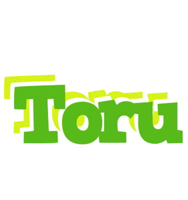 Toru picnic logo