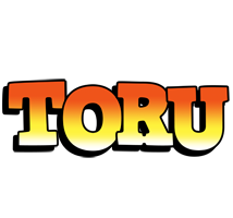 Toru sunset logo