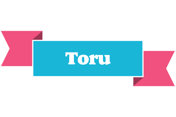 Toru today logo