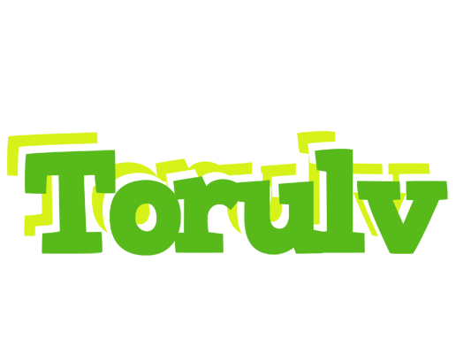 Torulv picnic logo