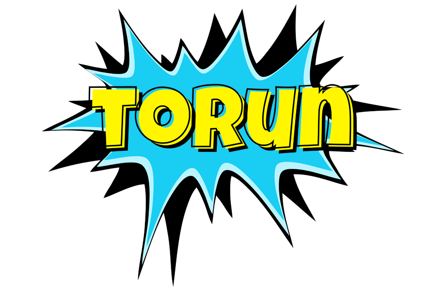 Torun amazing logo