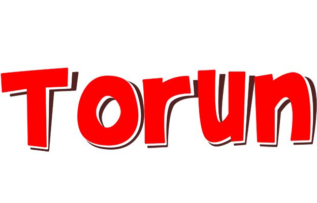 Torun basket logo