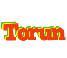 Torun bbq logo
