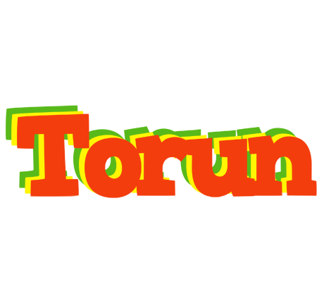 Torun bbq logo