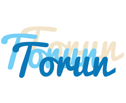 Torun breeze logo