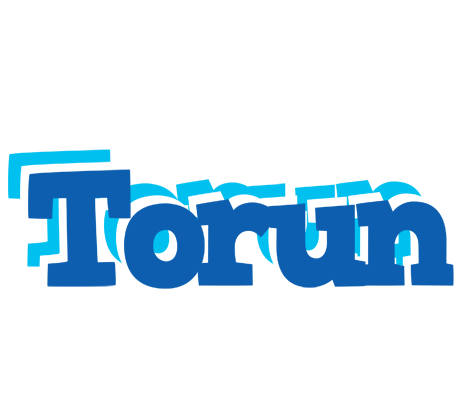 Torun business logo