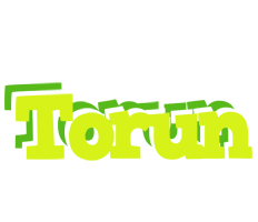 Torun citrus logo