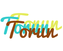 Torun cupcake logo