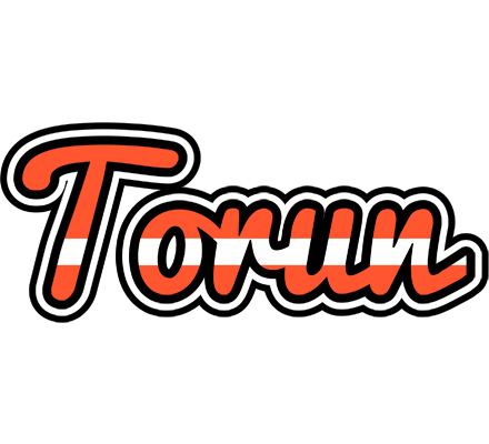 Torun denmark logo