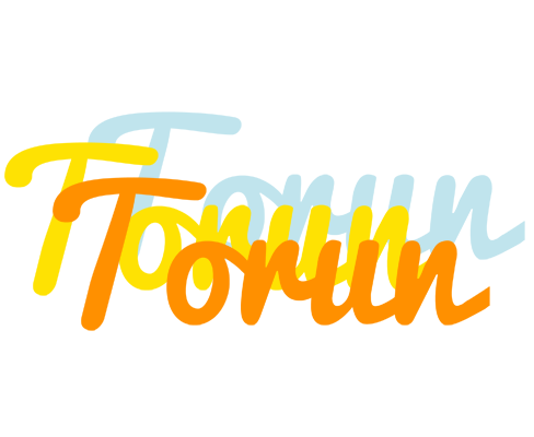 Torun energy logo
