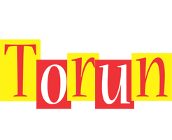 Torun errors logo