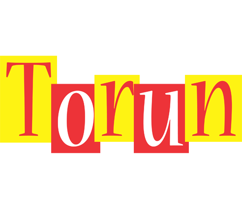 Torun errors logo