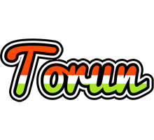 Torun exotic logo