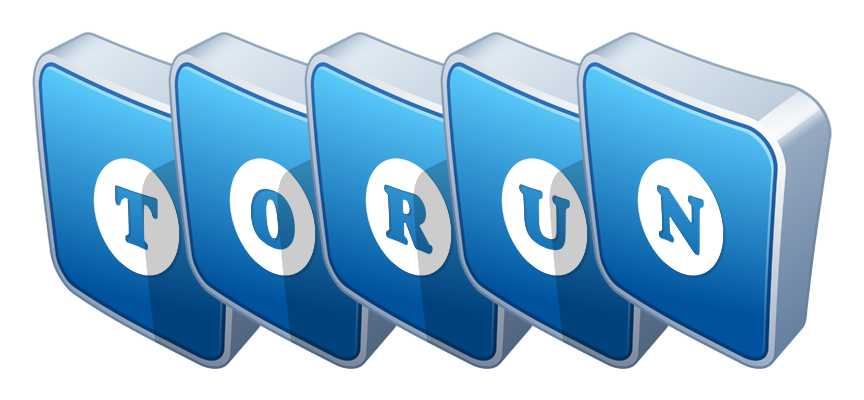 Torun flippy logo