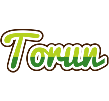 Torun golfing logo