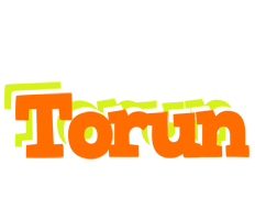 Torun healthy logo