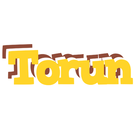 Torun hotcup logo