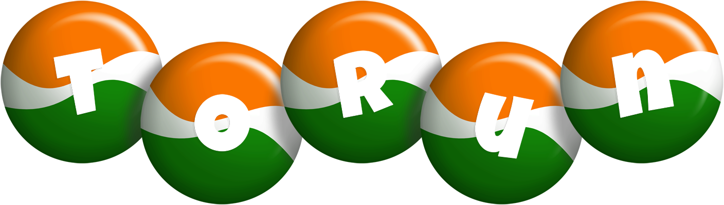 Torun india logo