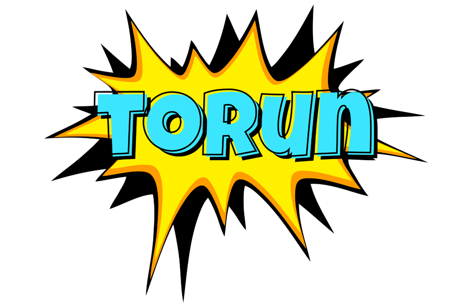Torun indycar logo