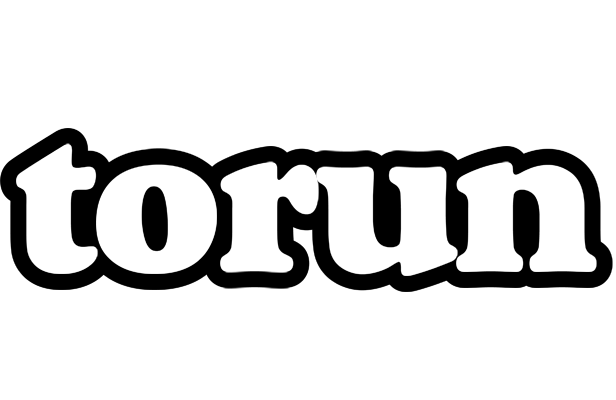Torun panda logo