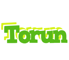 Torun picnic logo