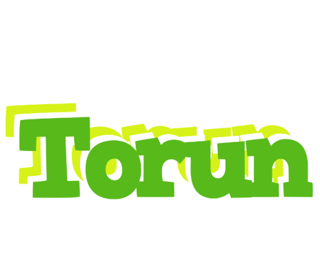 Torun picnic logo