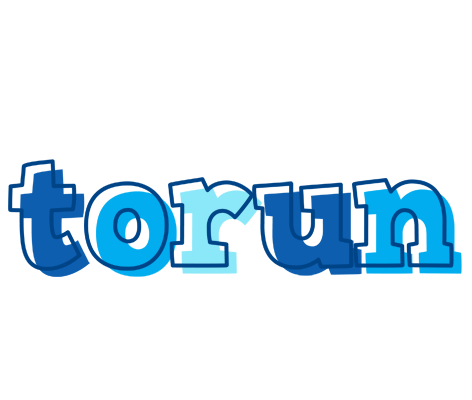 Torun sailor logo