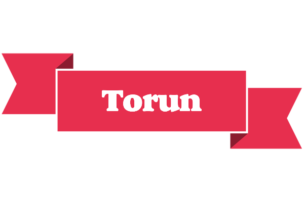 Torun sale logo