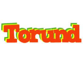 Torund bbq logo