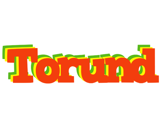 Torund bbq logo