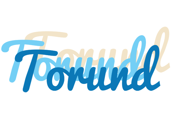 Torund breeze logo