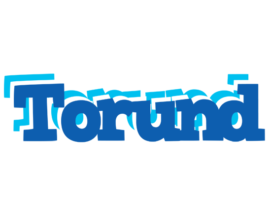 Torund business logo