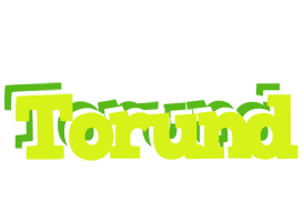 Torund citrus logo