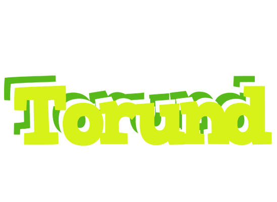 Torund citrus logo