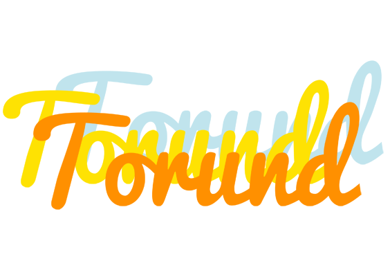 Torund energy logo