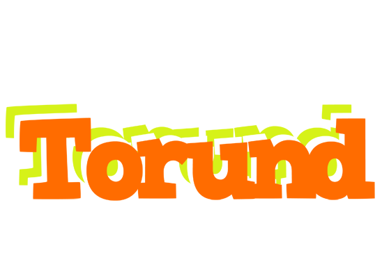 Torund healthy logo