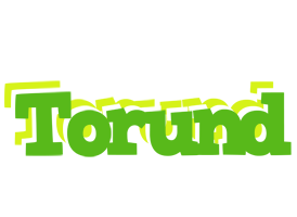 Torund picnic logo