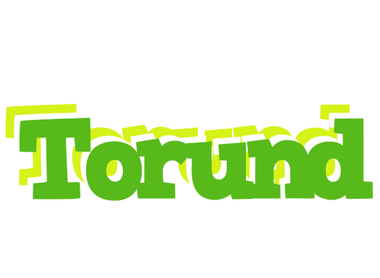 Torund picnic logo
