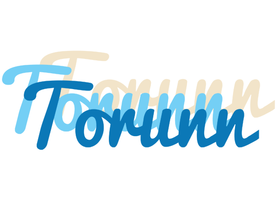 Torunn breeze logo